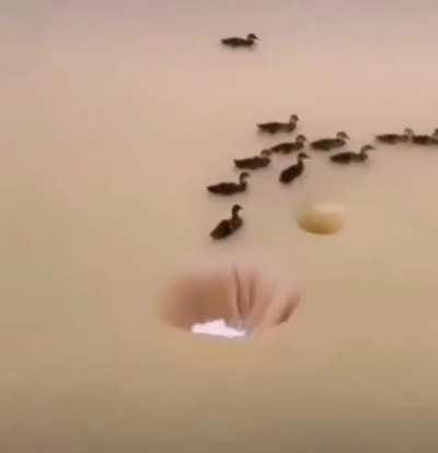 There's always a stupid guy in the company...