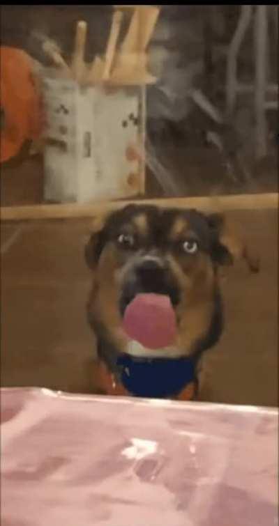 MRW I see my wife thru our glass shower door