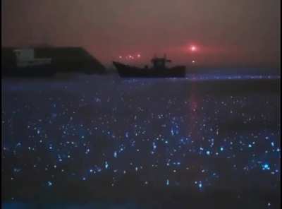 What rain on a bioluminescent sea looks like.