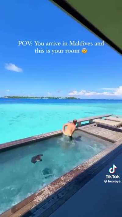 Welcome to the Maldives, 47. 