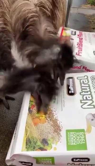 Why am i still hungry