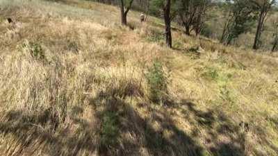 Stranger Catch Us In A Public Park While I Keep Sucking Dick [OC]