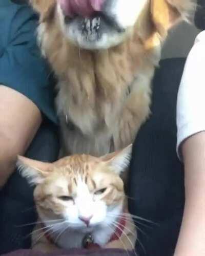 When you’re stuck with someone you dislike for hours