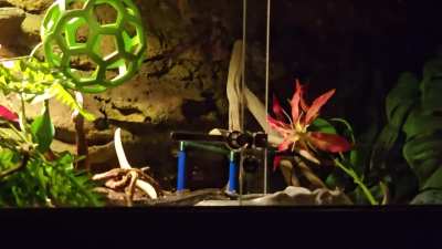 She chugged for 3 min straight 