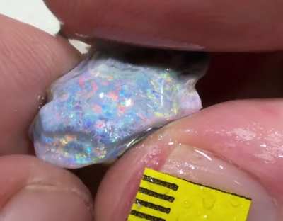 This opal thinks it’s a porn star