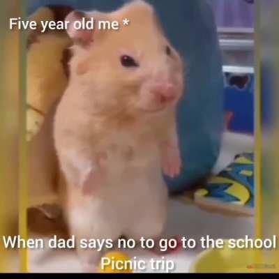 An Interesting Title