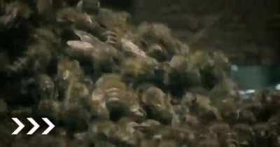 Hornet gets some *Sweet* Karma