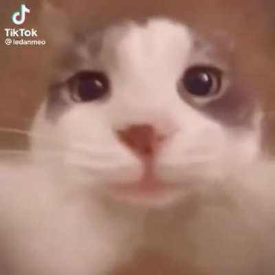 Scavs kissing me goodnight from 100m away