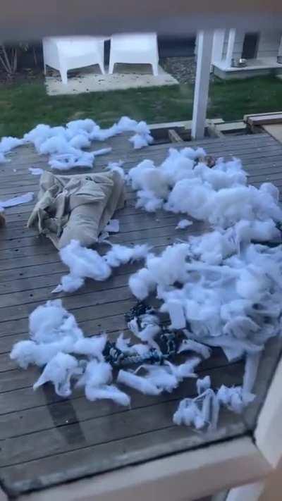 Somebody's gonna get their ass kicked