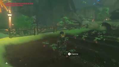 What Splendid Carrots! Would be a shame if something happened to them