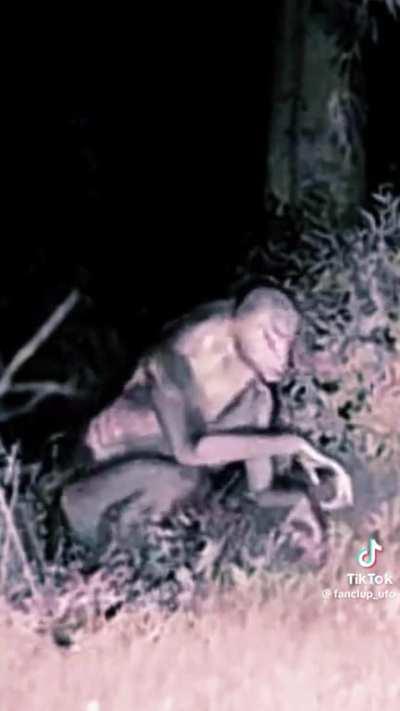 Actual skinwalker caught on camera 