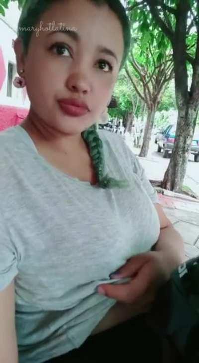 My morning adventure ;)