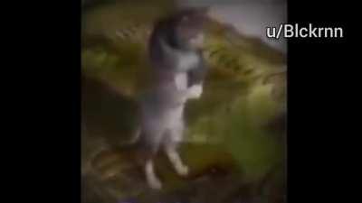 👳‍♂️🕌 ayak haram 🕌👳‍♂️