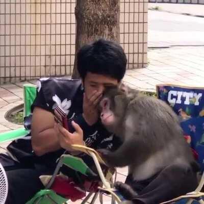 A human and monkey having a conversation