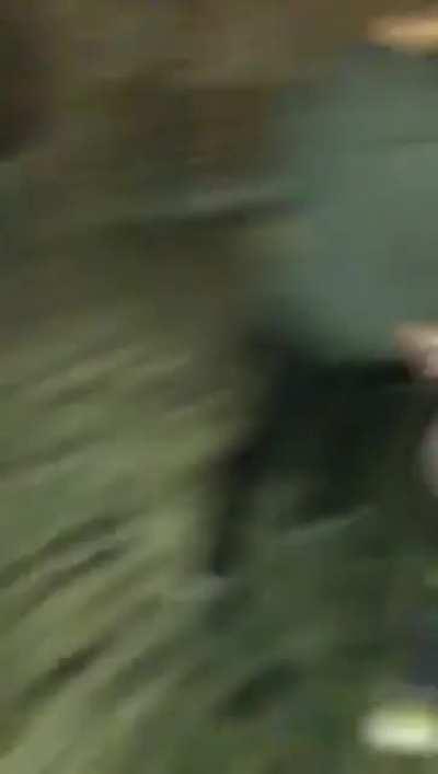 2meirl4meirl (credit: niamhdelhoy on Instagram)