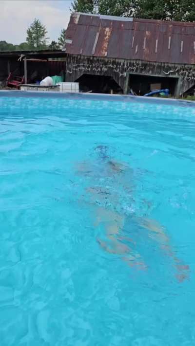 Nice day for a swim 🤭