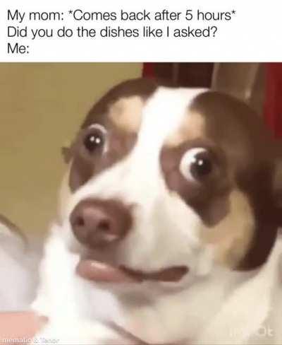 It's a moment of pure terror