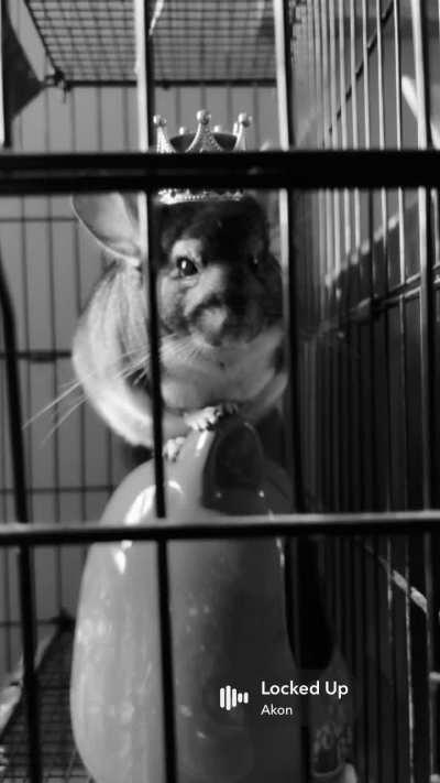 When I’m ten minutes late to let him out for playtime😂