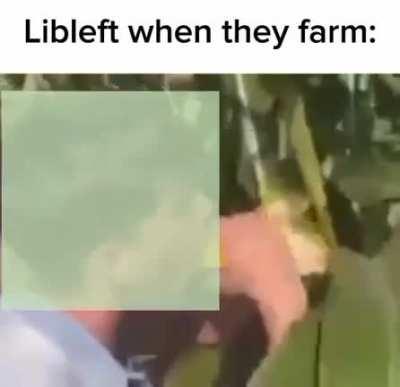 Libleft when they try farming:
