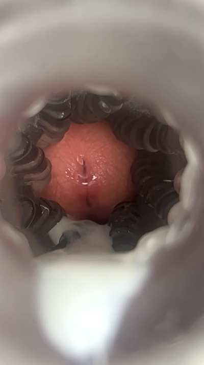 Looking for a swallower