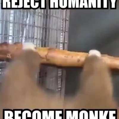 Idk if someone posted this