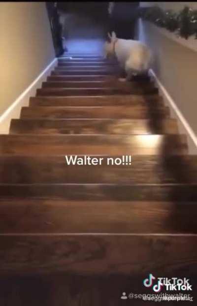 my people downstairs need me. I MUST GO!