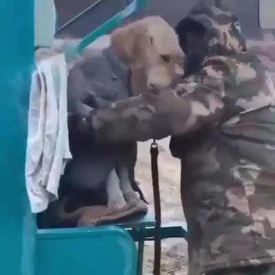 armyman putting jacket on cold doggo