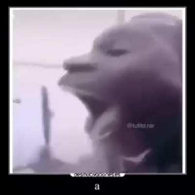 aaaaaaaaaaaaaaaaaaaa