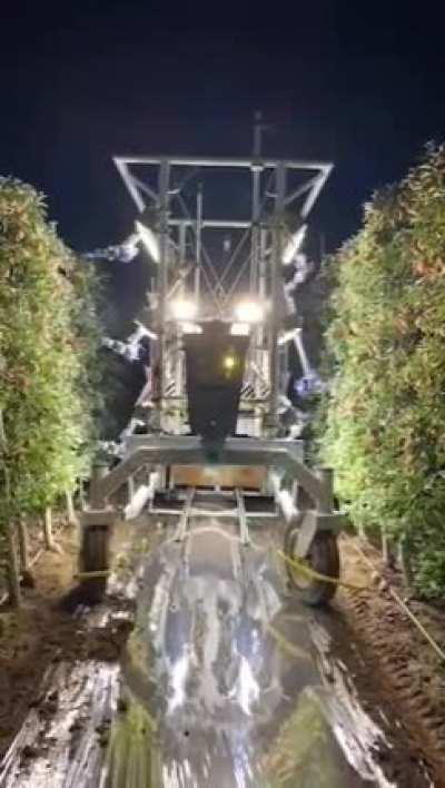 Robotic apple harvester