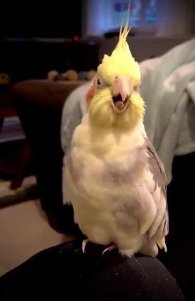 She's gonna make it big some day