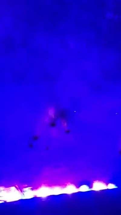 the bugs hitting my windshield while driving down the road