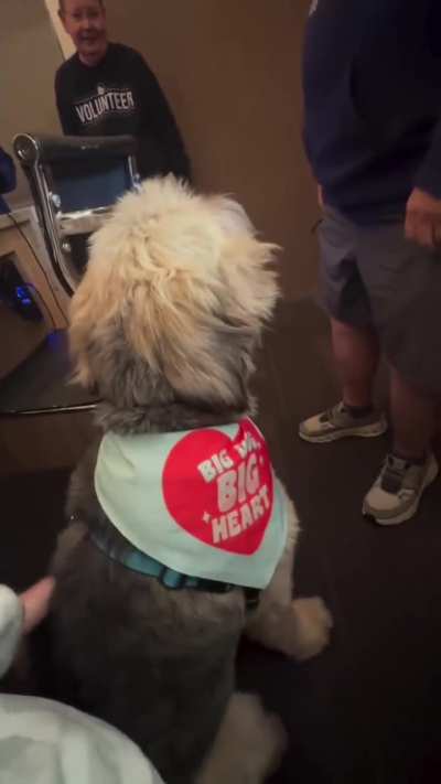 Totally Hits Nashville 93.3FM, 'Woody & Jim In The Morning Show' 'Wet Nose Wednesday' November 5th 2025