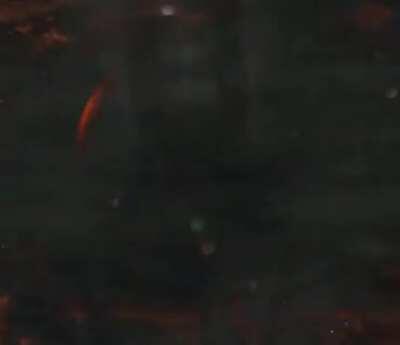 Que paso master El jabon confiaba en ti