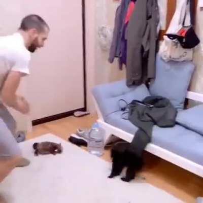 A man and his adorable pine marten