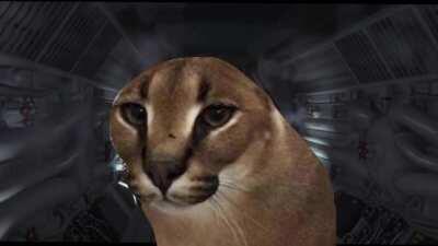 Gosha kills bingus (WIP)