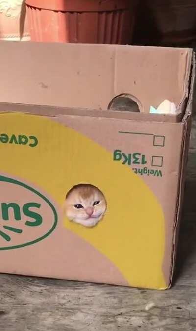 The perfect view from my fort