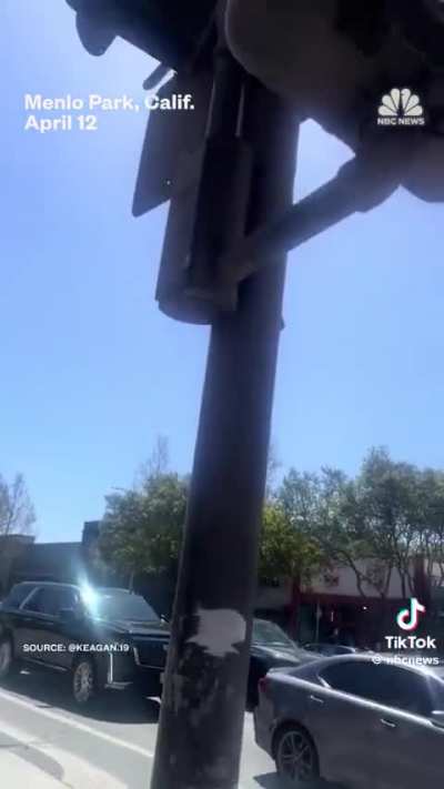 Californias crosswalk buttons got hacked and it‘s brilliant