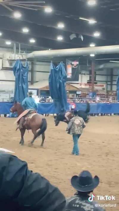 Harley Quinn by korie ford