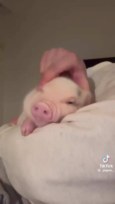 What kinda car is this?