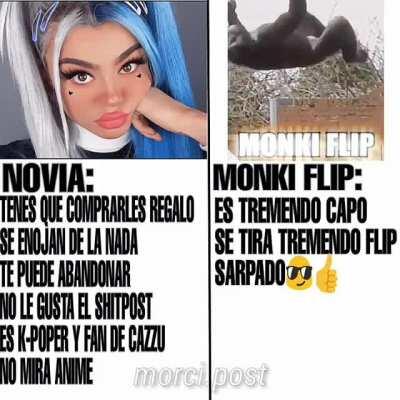 Simplemente monki flip