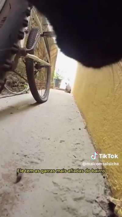 eu assistiria isso por horas!