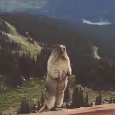 Reupload but better ver.