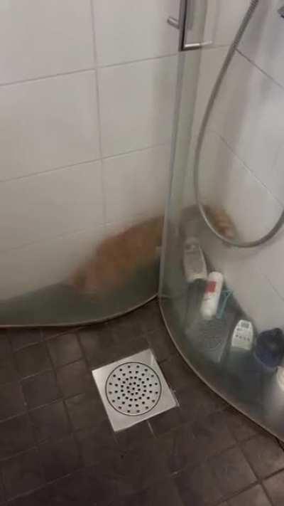 People were asking how he gets stuck. Here is how