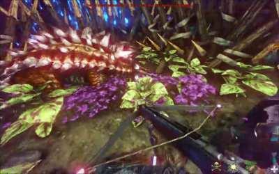 Ark is a perfect game with no glitches whatsoever.