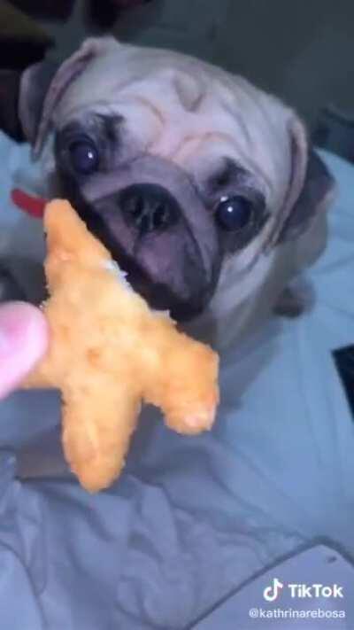 I can't stop watching this