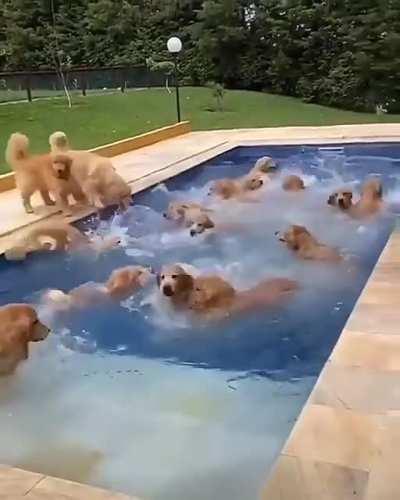 YEEEEES!!! CUTENESS EVERYWHERE!!!!