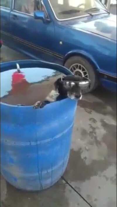 acharam o tobia de férias e o brabo tá como: