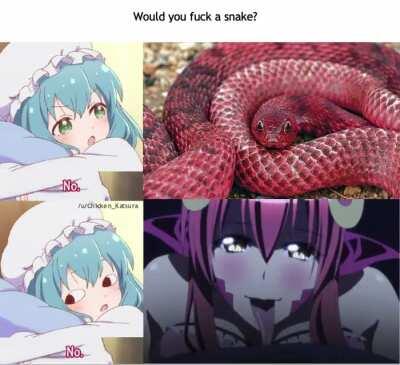 I have accepted my degeneracy