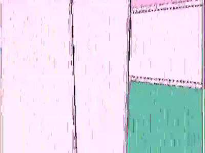 The ant inside my laptop when i try to run SRB2 with 200 mods installed: