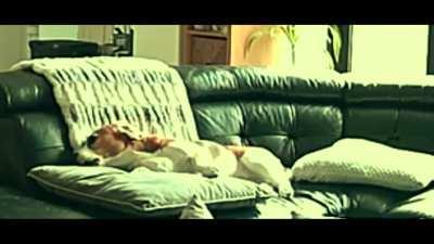 Esse merece o premio do melhor drama